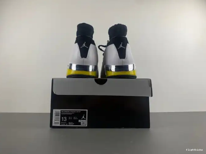 FJ0395-100 Low 17 Lightning Jordan Air 0423